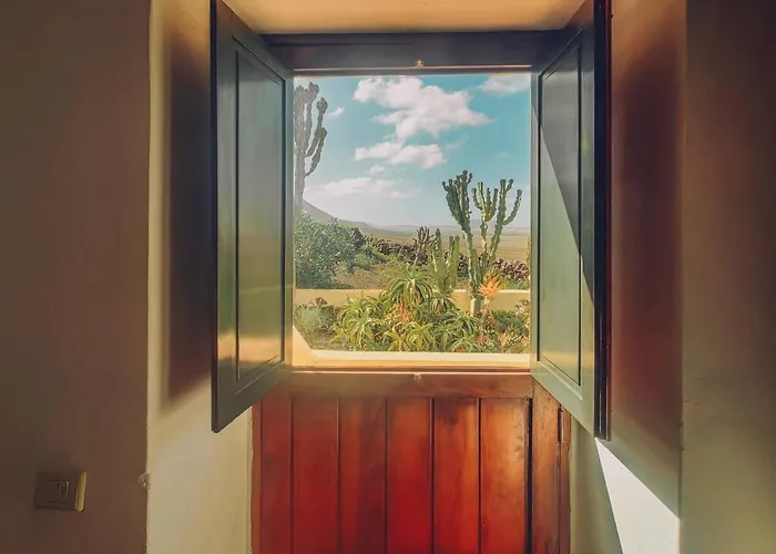 Dama De Famara * テギセ